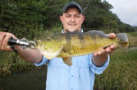 /album/galeria-de-fotos-pagina-inicial/imagem040r-1-jpg/